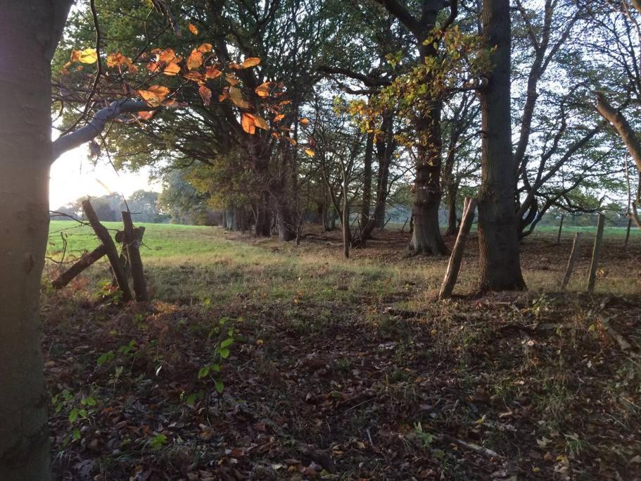 Appartamento Oak House Farm Edenbridge Esterno foto